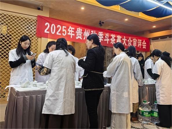 2025年貴州省秋季斗茶賽鳴鑼開(kāi)賽，106只茶樣角逐“茶王”桂冠